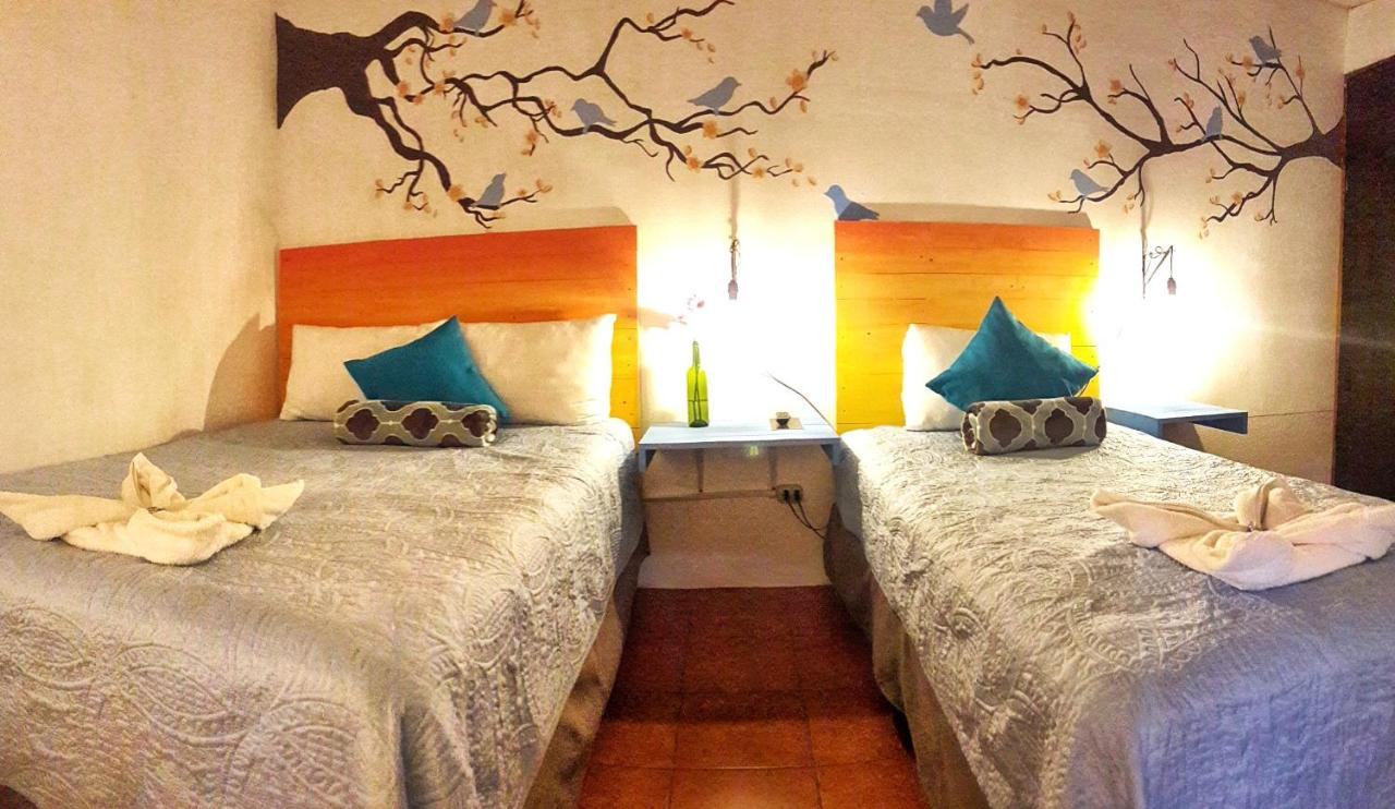 Hotel Y Arte Norte Antigua Kültér fotó